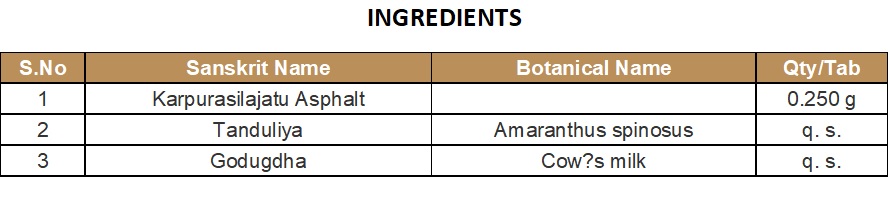 BHASMA CAPSULE | KOTTAKKAL | KANMADA BHASMAM CAPSULE (100 Nos)