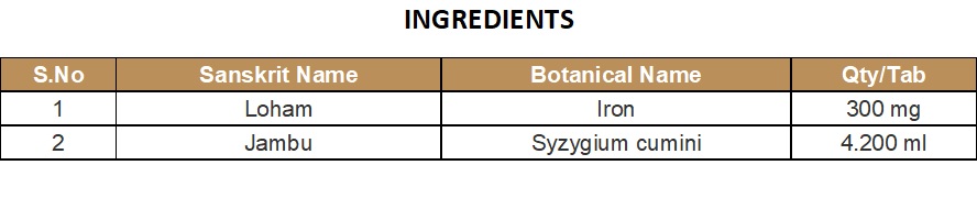 BHASMA CAPSULE | KOTTAKKAL | LOHASINDOORAM(14) CAPSULE (30 Nos)