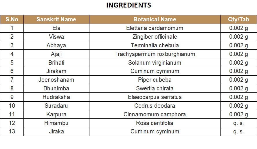 RASAKRIYA (COLLYRIUM) | KOTTAKKAL | DHANWANTARAM GULIKA (100 Nos)