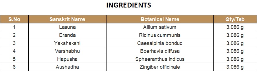 KASHAYAM DECOTION | KOTTAKKAL | LASUNAIRANDADI KASHAYAM (200 ML)