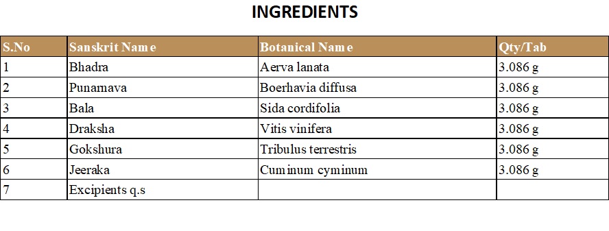 KASHYAM TABLET | KOTTAKKAL | BHADRADI KWATHAM (GARBHARAKSHA KWATHAM) (100 NOS)