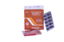 BHASMA CAPSULE | KOTTAKKAL | LOHASINDURAM (7) CAPSULE (100 Nos)